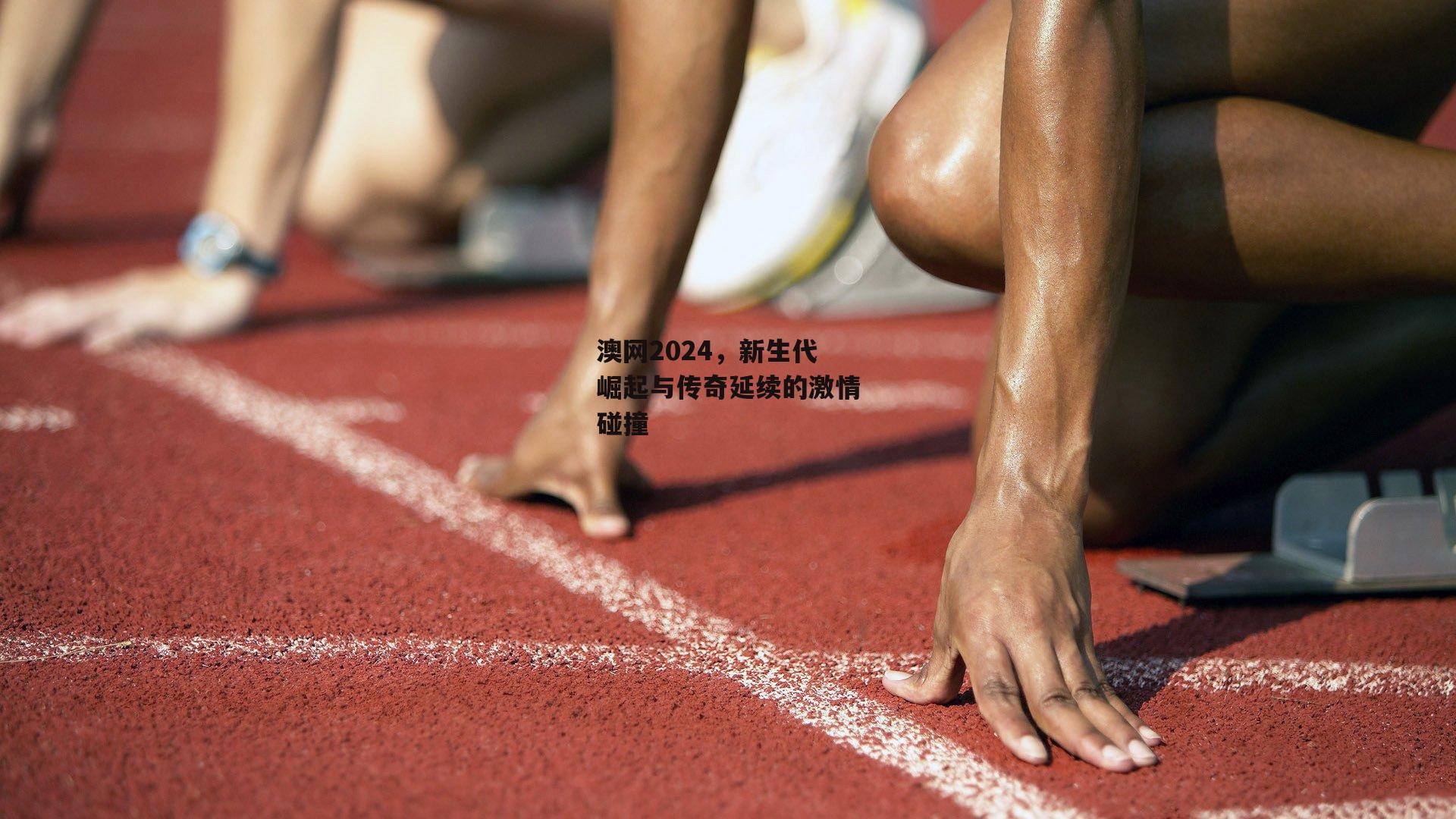 澳网2024，新生代崛起与传奇延续的激情碰撞